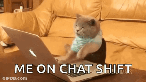 A Cat Is Sitting On A Couch Using A Laptop Computer With The Words Me On Chat Shift Above It . GIF