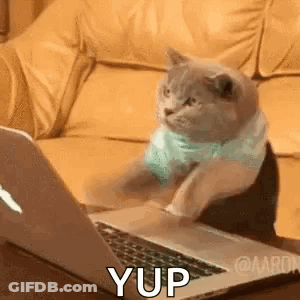 A Cat Is Sitting On A Couch Using A Laptop . GIF