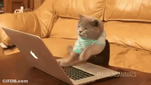 A Cat Is Sitting On A Couch Using An Apple Laptop . GIF