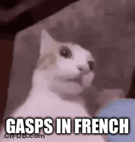 A Cat Is Sitting On A Couch With The Words Gasps In French . GIF