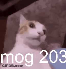 A Cat Is Sitting On A Couch With The Words Mog 203 Behind It GIF