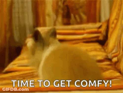 A Cat Is Sitting On A Couch With The Words `` Time To Get Comfy '' Written On The Bottom . GIF