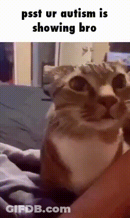 A Cat Is Sitting On A Person 'S Lap And The Caption Says Psst Ur Autism Is Showing Bro . GIF
