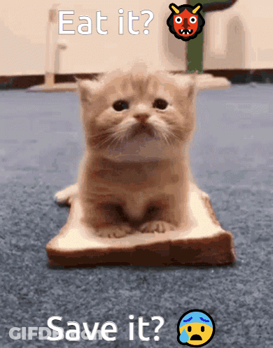 A Cat Is Sitting On A Piece Of Bread With The Words " Eat It Save It " Above It GIF
