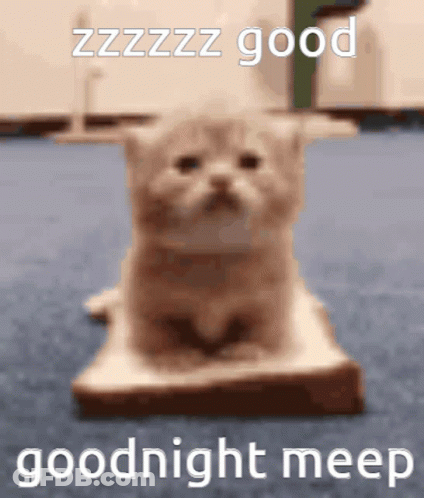 A Cat Is Sitting On A Piece Of Bread With The Words Goodnight Meep Written On It . GIF