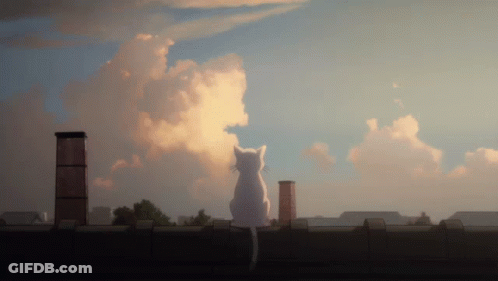A Cat Is Sitting On A Roof Looking At The Sky GIF