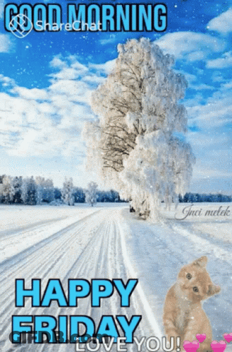 A Cat Is Sitting On A Snowy Road With The Words Happy Friday Love You GIF