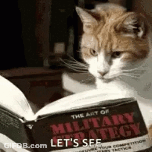 A Cat Is Sitting On A Table Reading A Book Titled The Art Of Military Strategy . GIF