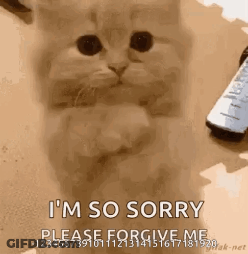 A Cat Is Sitting On A Table With A Remote Control In The Background And Says I 'M So Sorry . GIF