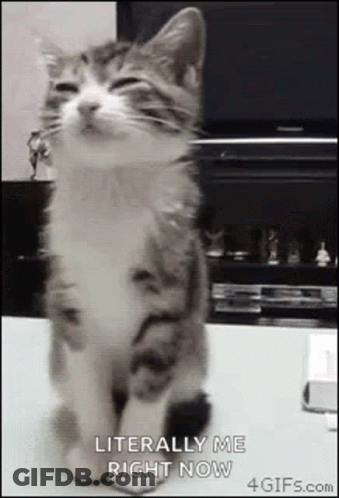 A Cat Is Sitting On A Table With Its Eyes Closed And The Words `` Literally Me Right Now '' . GIF