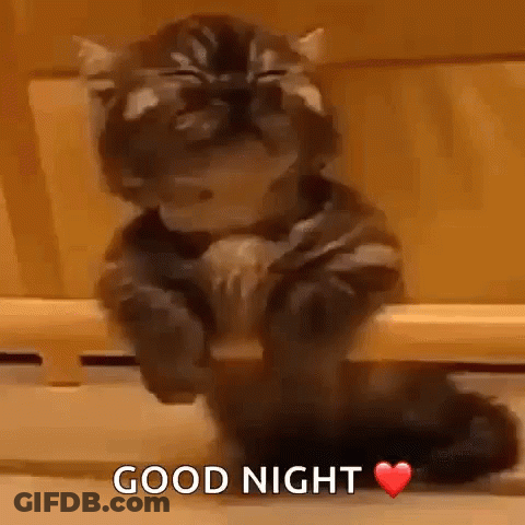 A Cat Is Sitting On A Wooden Shelf With Its Eyes Closed And A Heart In Front Of It . GIF