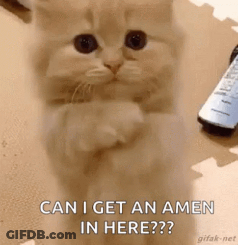 A Cat Is Sitting On Its Hind Legs And Praying While A Remote Control Is On The Floor . GIF