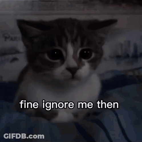 A Cat Is Sitting On The Beach With The Words Fine Ignore Me Then Written On The Bottom GIF