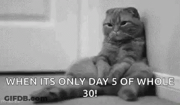 A Cat Is Sitting On The Floor Next To A Wall With The Words `` When It 'S Only Day 5 Of Whole 30 ! '' GIF