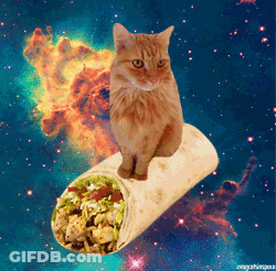 A Cat Is Sitting On Top Of A Burrito In Outer Space GIF