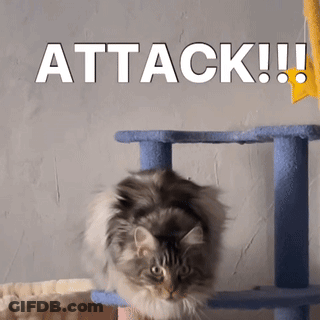 A Cat Is Sitting On Top Of A Cat Tree With The Words Attack Written Above It GIF
