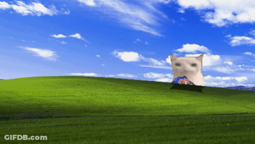 A Cat Is Sitting On Top Of A Green Hill GIF