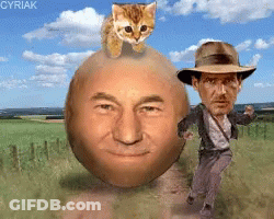 A Cat Is Sitting On Top Of A Man 'S Head While A Man In A Hat Is Running Behind It GIF