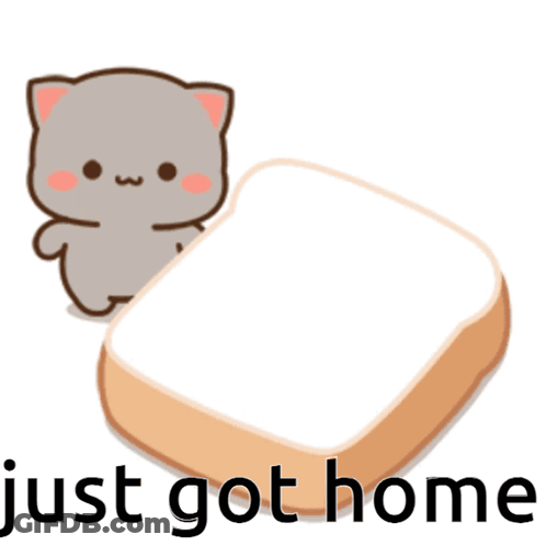 A Cat Is Sitting On Top Of A Piece Of Bread With The Words Just Got Home Written Below It GIF