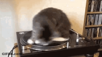 A Cat Is Sitting On Top Of A Record Player . GIF