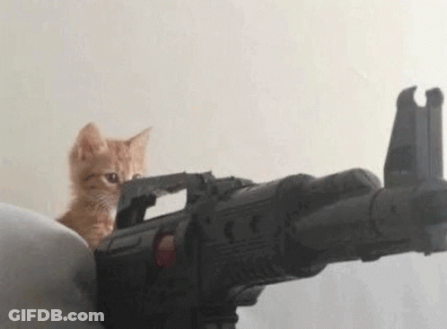 A Cat Is Sitting On Top Of A Toy Gun . GIF