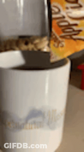 A Cat Is Sitting On Top Of A White Coffee Mug . GIF