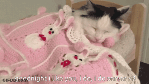 A Cat Is Sleeping In A Bed With A Pink Blanket And The Words Goodnight I Like You I Do I Do Server GIF