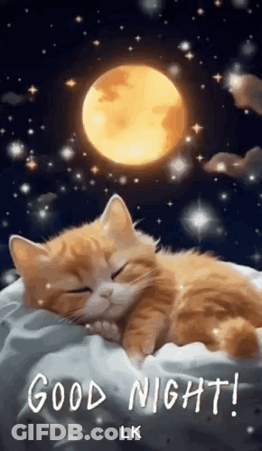 A Cat Is Sleeping On A Bed With The Moon In The Background . GIF