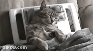 A Cat Is Sleeping On A Couch Next To A Massage Machine . GIF