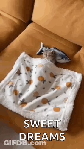 A Cat Is Sleeping On A Couch With A Blanket And A Fish Toy . GIF