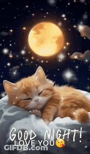 A Cat Is Sleeping On A Pillow In Front Of A Full Moon And Stars . GIF
