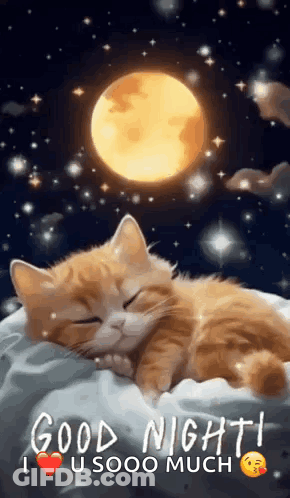 A Cat Is Sleeping On A Pillow In Front Of A Full Moon And Stars . GIF