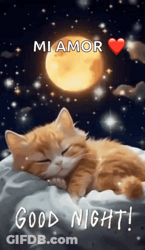 A Cat Is Sleeping On A Pillow In Front Of A Full Moon With The Words `` Mi Amor '' Written On It . GIF