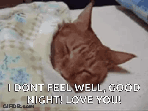 A Cat Is Sleeping On A Pillow With The Words `` I Dont Feel Well , Good Night ! Love You ! '' GIF