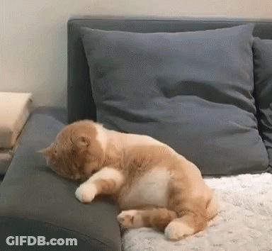 A Cat Is Sleeping On The Edge Of A Couch . GIF