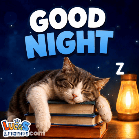 A Cat Is Sleeping On Top Of A Stack Of Books With The Words Good Night Lucas & Friends Below It GIF