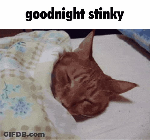 A Cat Is Sleeping Under A Blanket With The Words Goodnight Stinky Below It GIF