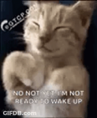 A Cat Is Sleeping With Its Paws Up And A Caption That Says `` No Not Yet I 'M Not Ready To Wake Up '' GIF