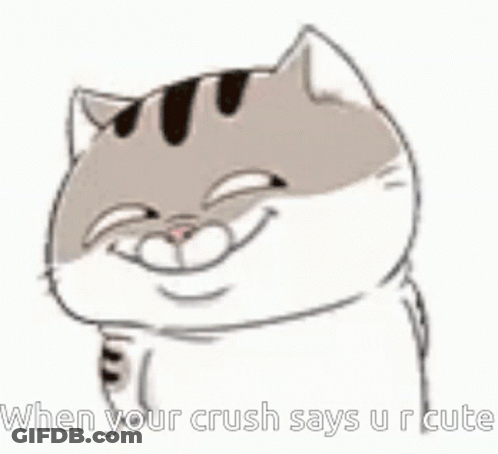 A Cat Is Smiling With Its Eyes Closed And Says `` When Your Crush Says U R Cute '' . GIF