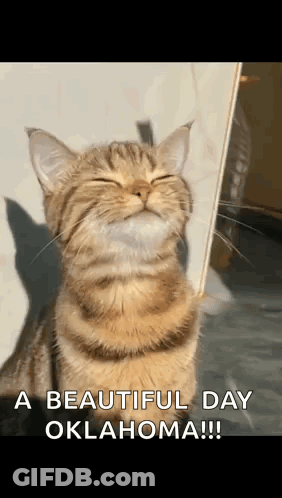A Cat Is Smiling With Its Eyes Closed And The Words `` A Beautiful Day Oklahoma '' Written On The Bottom . GIF