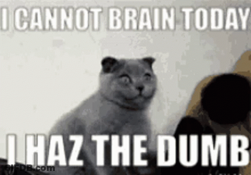 A Cat Is Smiling With The Words I Cannot Brain Today I Haz The Dumb Behind It . GIF