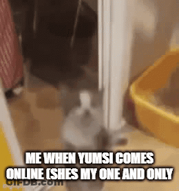 A Cat Is Standing In A Doorway Next To A Yellow Litter Box And Says Me When Yumsi Comes Online GIF