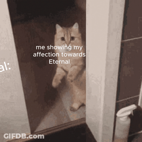 A Cat Is Standing In A Doorway With The Caption Me Showing My Affection Towards Eternal GIF