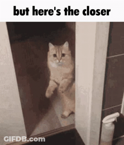A Cat Is Standing In A Doorway With The Words But Here 'S The Closer Above It GIF