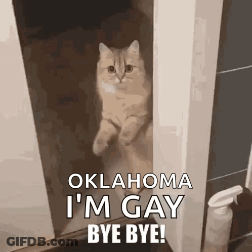 A Cat Is Standing In A Doorway With The Words Oklahoma I 'M Gay Bye Bye Written On It . GIF