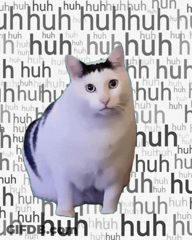 A Cat Is Standing In Front Of A Background That Says ' Huh ' On It GIF