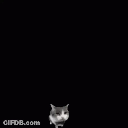 A Cat Is Standing In Front Of A Brick Wall With Three Holes In It . GIF