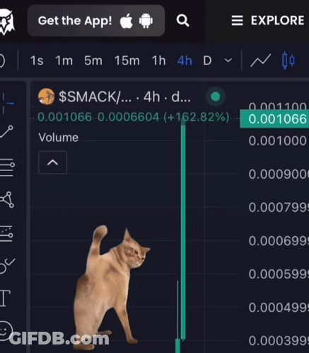 A Cat Is Standing In Front Of A Graph That Says Smack GIF