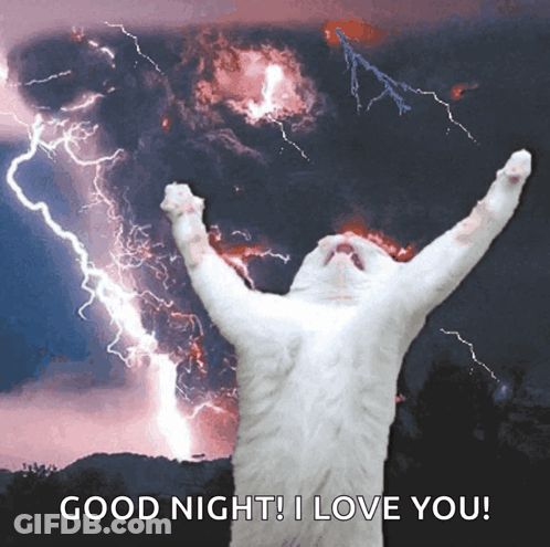 A Cat Is Standing In Front Of A Lightning Storm With The Words Good Night I Love You GIF