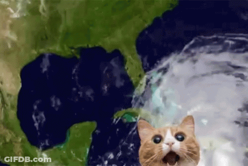 A Cat Is Standing In Front Of A Map Of The World With Its Mouth Open GIF